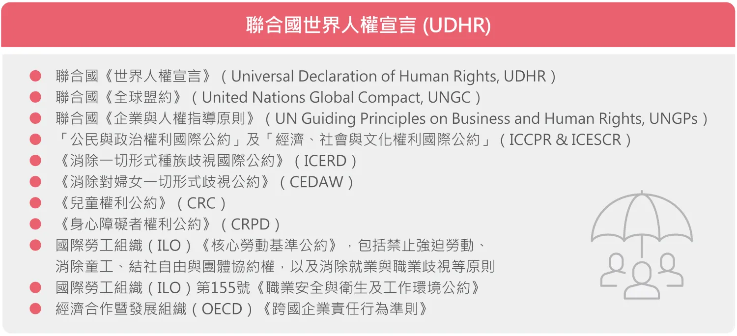 聯合國世界人權宣言